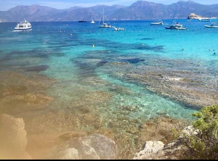 Villa Le Corail Rouge Corse Lecci Extérieur photo