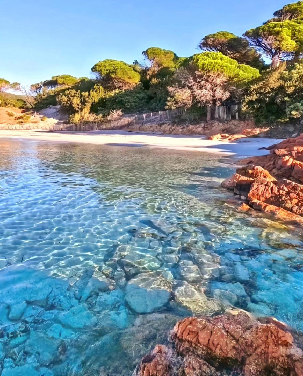 Villa Le Corail Rouge Corse Lecci Extérieur photo
